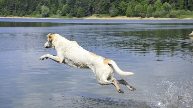 2018 - ein langer, heisser Sommer